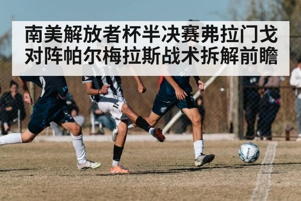 南美解放者杯半决赛弗拉门戈对阵帕尔梅拉斯战术拆解前瞻